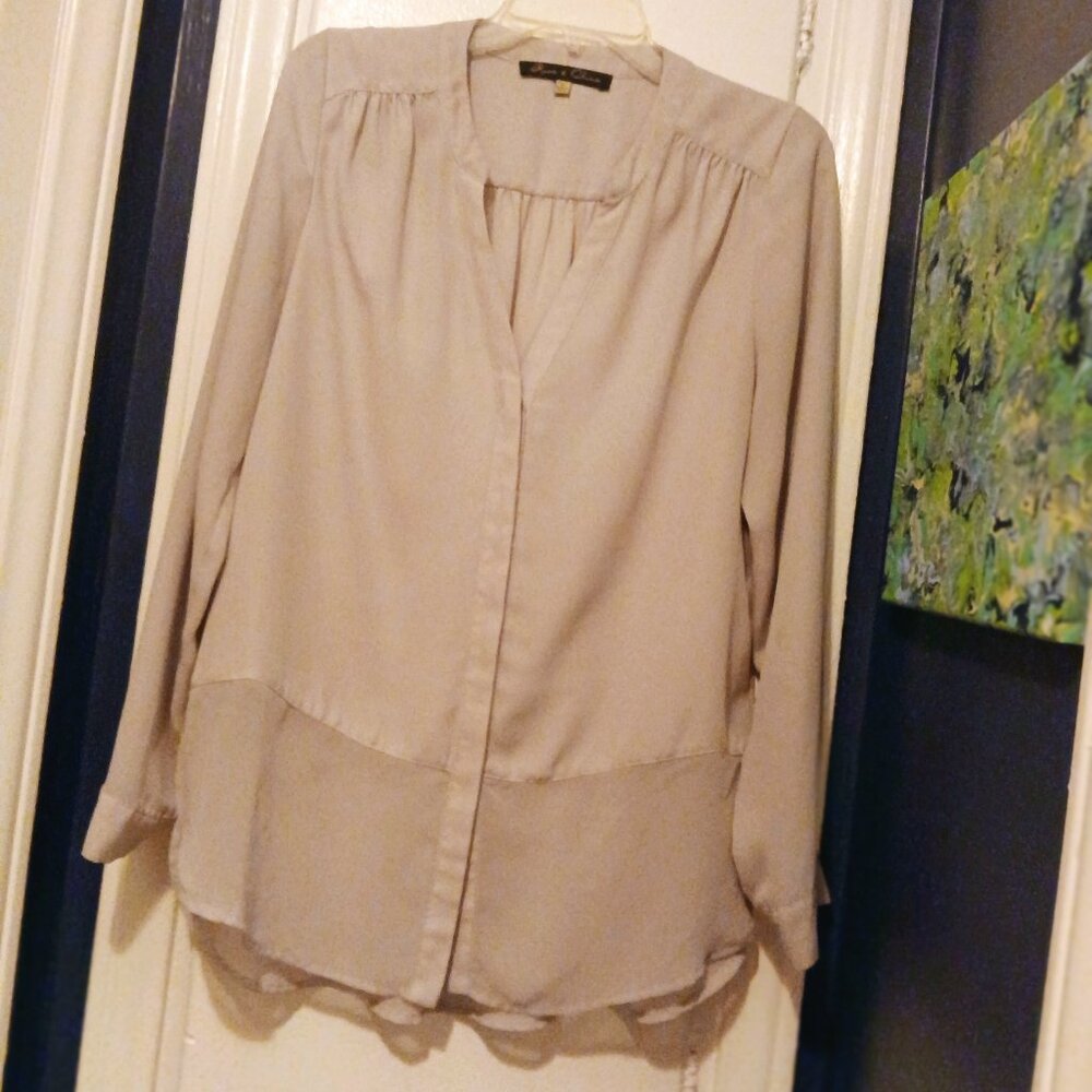 Gray Button Down V Neck with Sheer Panel